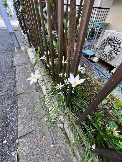 東京芳华驿站 Apartment Tokyo